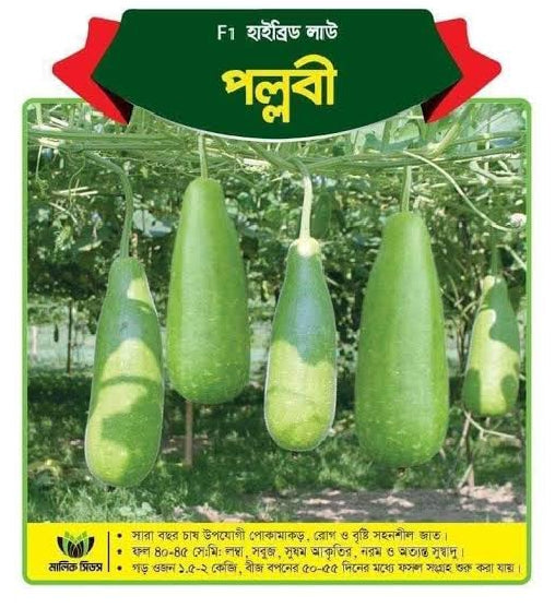 হাইব্রিড লাউ-পল্লবী । এ আর মালিক সীডস ।Hybrid Bottle Gourd-Pallabi।AR Malik Seeds