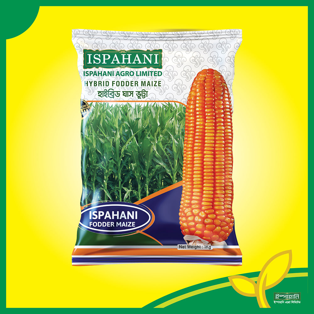 হাইব্রিড ঘাস ভুট্টা বীজ |ইস্পাহানি এগ্রো|Hybrid Fodder Maize Seed|Ispahani Agro