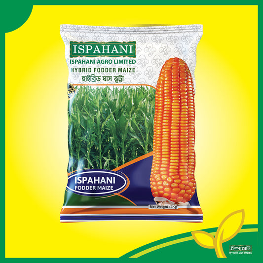 হাইব্রিড ঘাস ভুট্টা বীজ |ইস্পাহানি এগ্রো|Hybrid Fodder Maize Seed|Ispahani Agro