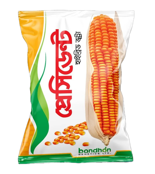 হাইব্রিড ভূট্রা-প্রেসিডেন্ট ।বন্ধন সীডস।Hybrid maize-president । Bondhon seeds