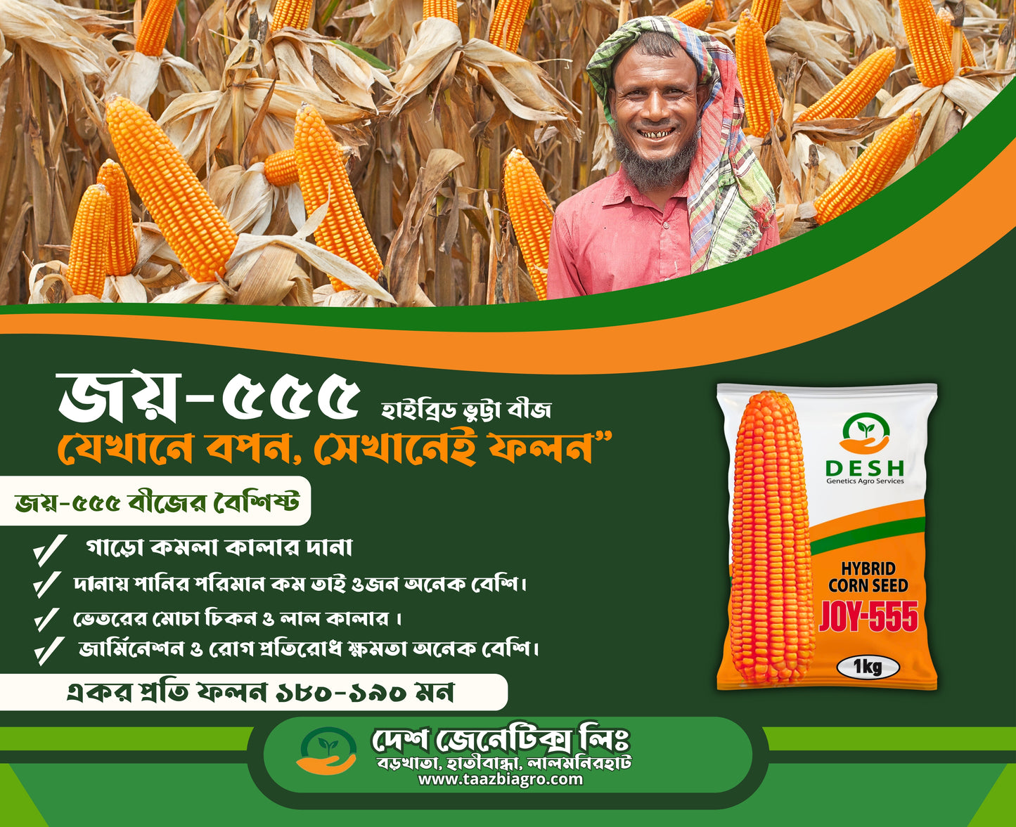 হাইব্রিড ভূট্টা- জয়-৫৫৫।জেনেটিক্স এগ্রো।Hybrid Maize-Joy 555।Genetics Agro