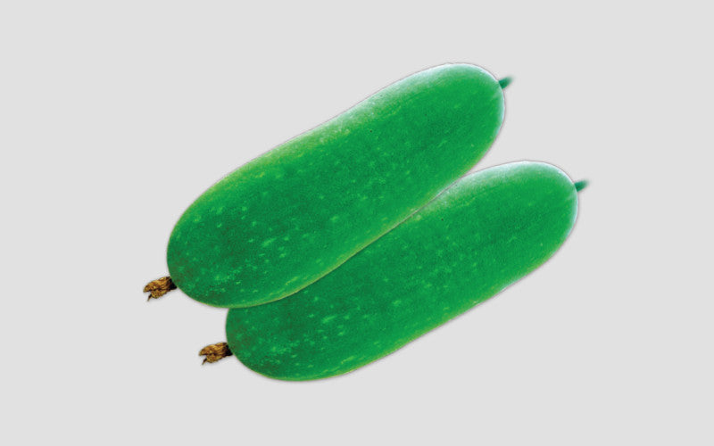 হাইব্রিড চাল কুমড়া বীজ-ভেনাস|লালতীর|Hybrid Wax Gourd Seed-Venus|Lal Teer