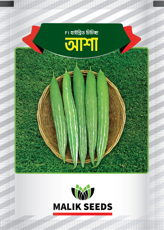 হাইব্রিড চিচিঙ্গা-আশা।এ আর মালিক সীডস।Hybrid Snake Gourd-Asha।AR Malik Seeds
