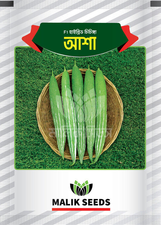হাইব্রিড চিচিঙ্গা-আশা।এ আর মালিক সীডস।Hybrid Snake Gourd-Asha।AR Malik Seeds