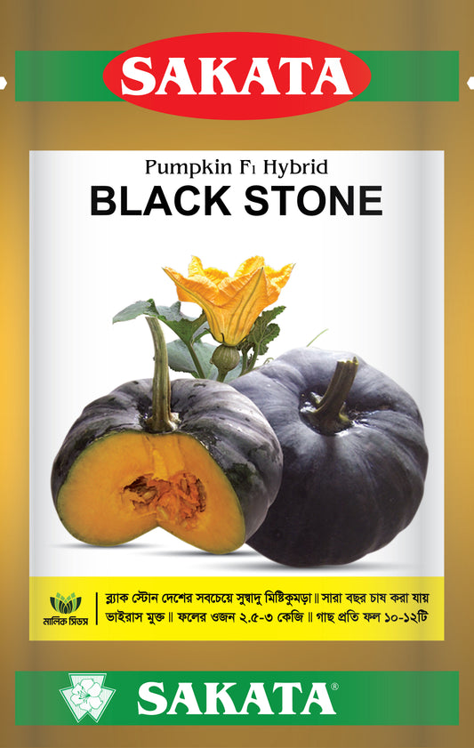 হাইব্রিড মিষ্টি কুমড়া-ব্ল্যাক স্টোন। এ আর মালিক সীডস ।Hybrid Pumpkin-Black Stone।AR Malik Seeds