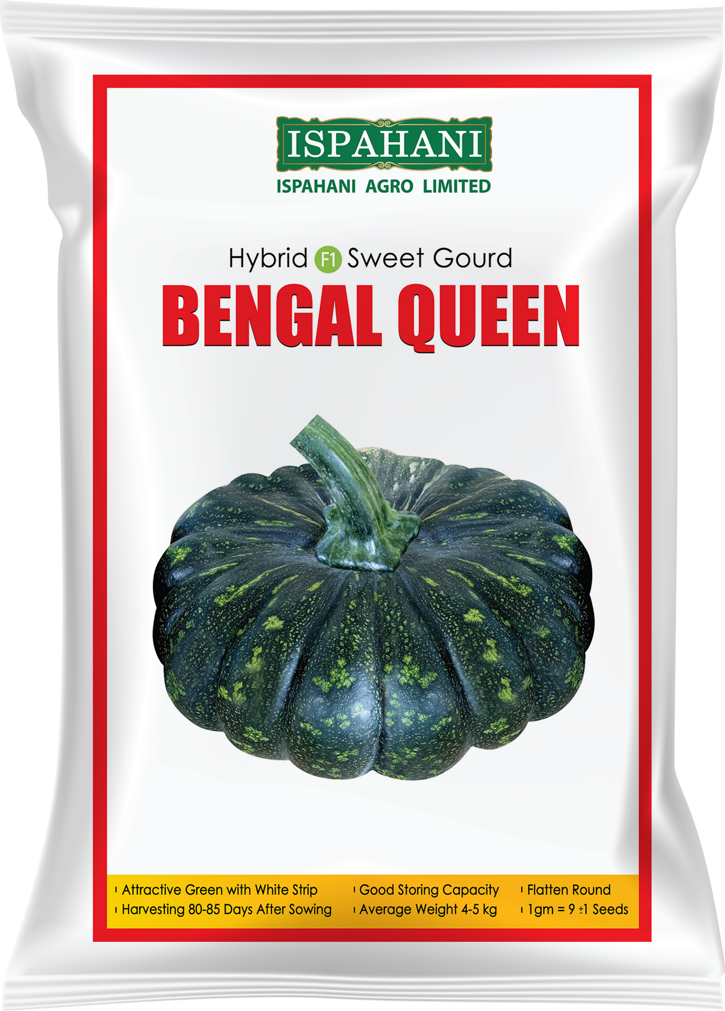 হাইব্রিড মিষ্টিকুমড়া বেঙ্গল কুইন