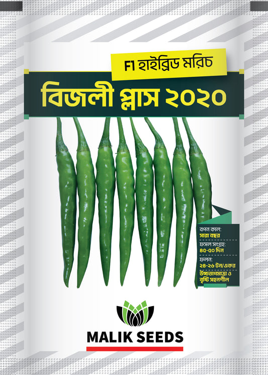 হাইব্রিড মরিচ-বিজলী প্লাস২০২০।এ আর মালিক সীডস।Hybrid Chili-Bijlee Plus-2020।AR Malik Seeds
