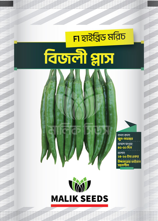 হাইব্রিড মরিচ-বিজলী প্লাস।এ আর মালিক সীডস।Hybrid Chili-Bijlee Plus।AR Malik Seeds