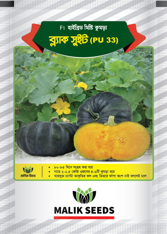 Black_Sweet_PU-33__Ar_Malik_Seed