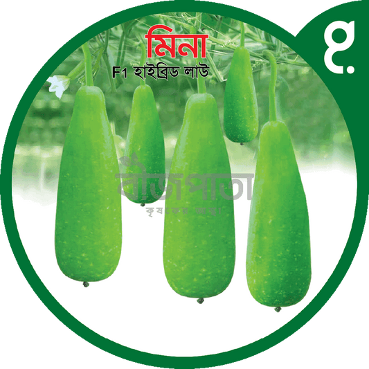 মিনা এফ১-হাইব্রিড  লাউ  বীজ|বীজপাতা|Mina F1-Bottle Gourd Seed|Bizpata
