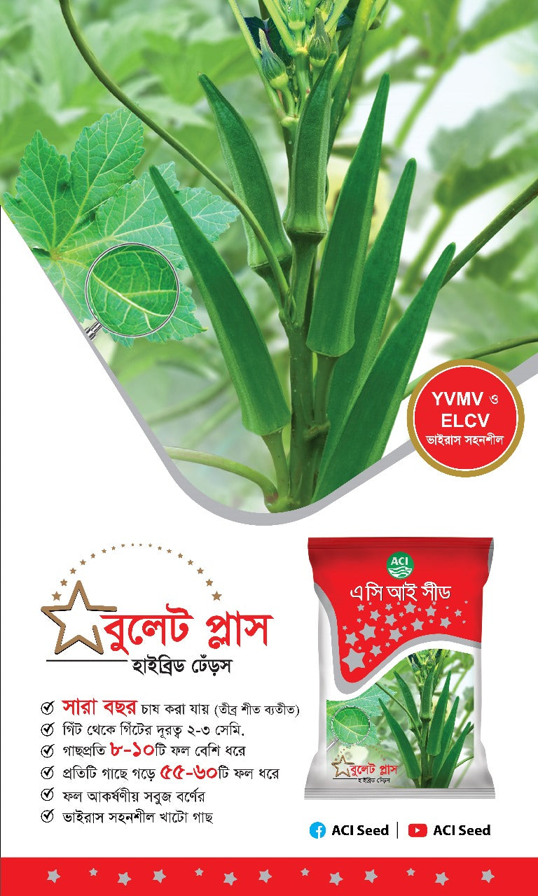 হাইব্রিড ঢেঁড়স-বুলেট প্লাস।এ সি আই সীড।Hybrid Okra-Bullet Plus।ACI Seed
