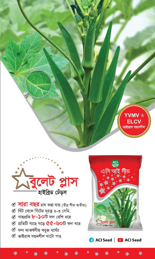 হাইব্রিড ঢেঁড়স-বুলেট প্লাস।এ সি আই সীড।Hybrid Okra-Bullet Plus।ACI Seed