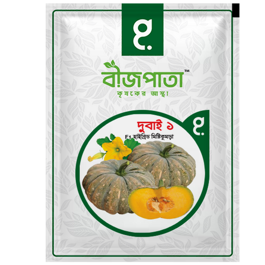 দুবাই ১(Dubai 1)-হাইব্রিড মিষ্টিকুমড়া বীজ|বীজপাতা