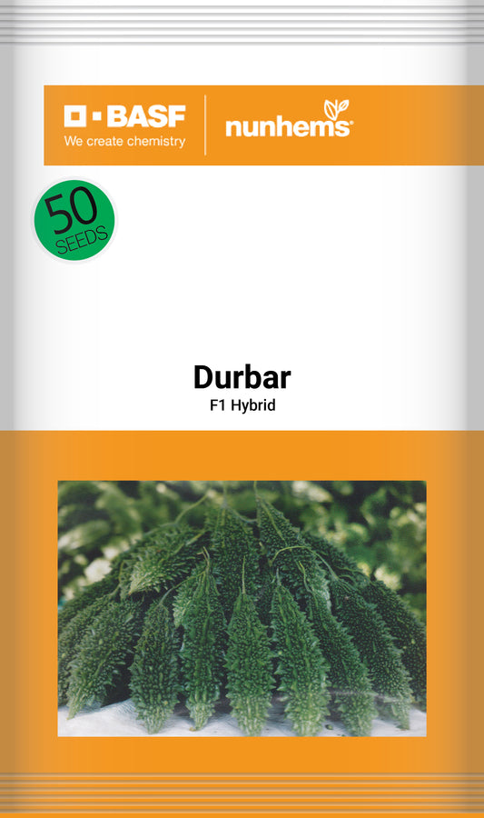 Durbar - Malik Seeds