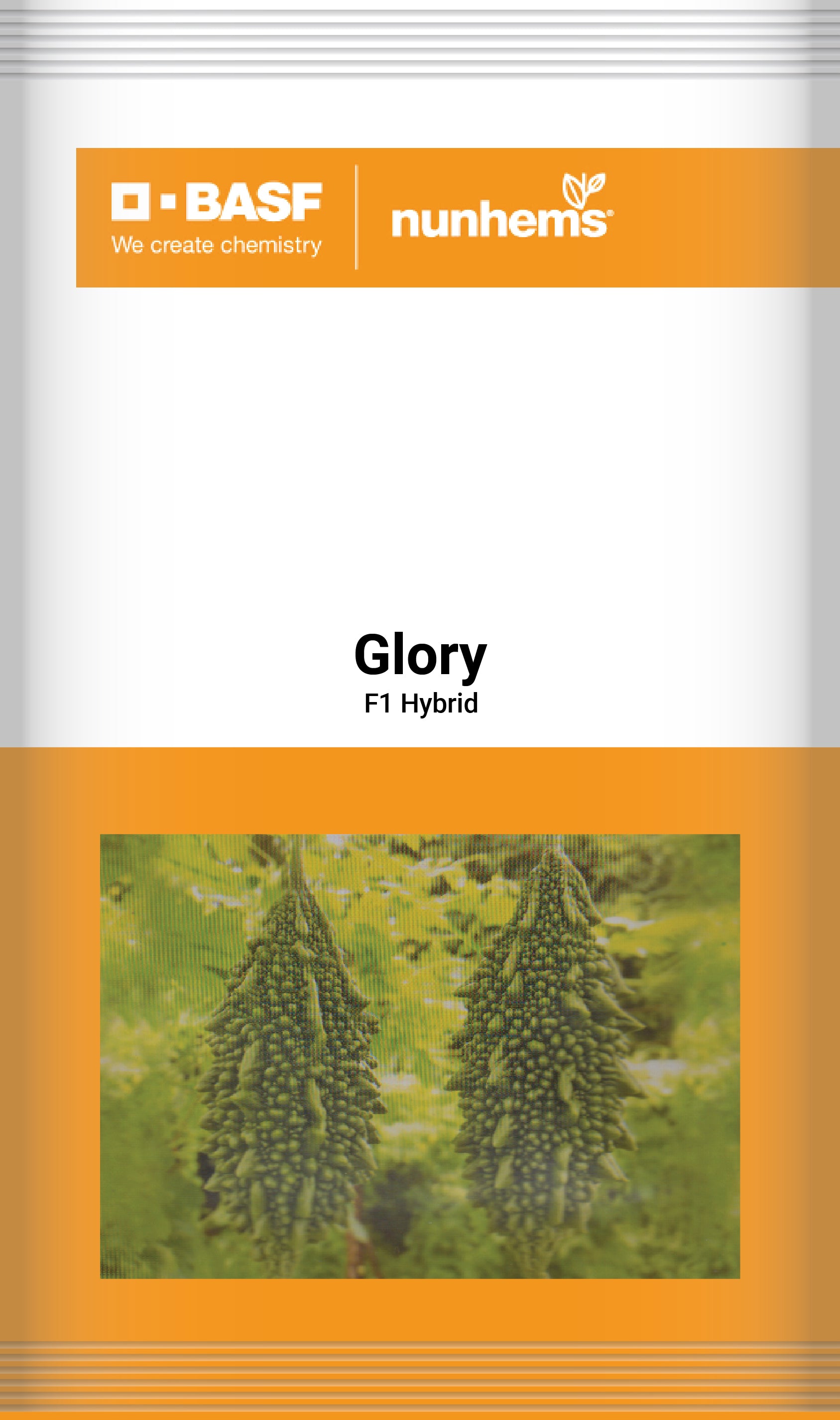 Glory - Malik Seeds 