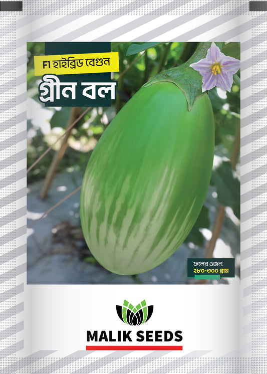 হাইব্রিড বেগুন-গ্রীন বল।এ আর মালিক সীডস।Hybrid Brinjal-Green Ball।AR Malik Seeds