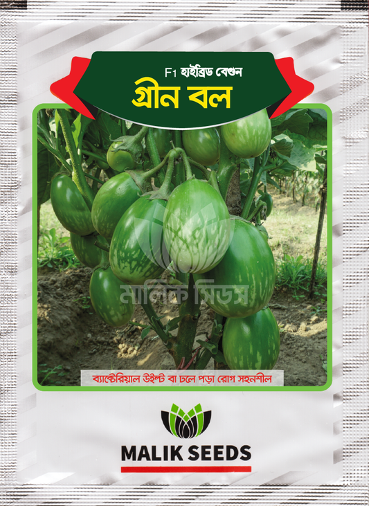 হাইব্রিড বেগুন-গ্রীন বল।এ আর মালিক সীডস।Hybrid Brinjal-Green Ball।AR Malik Seeds
