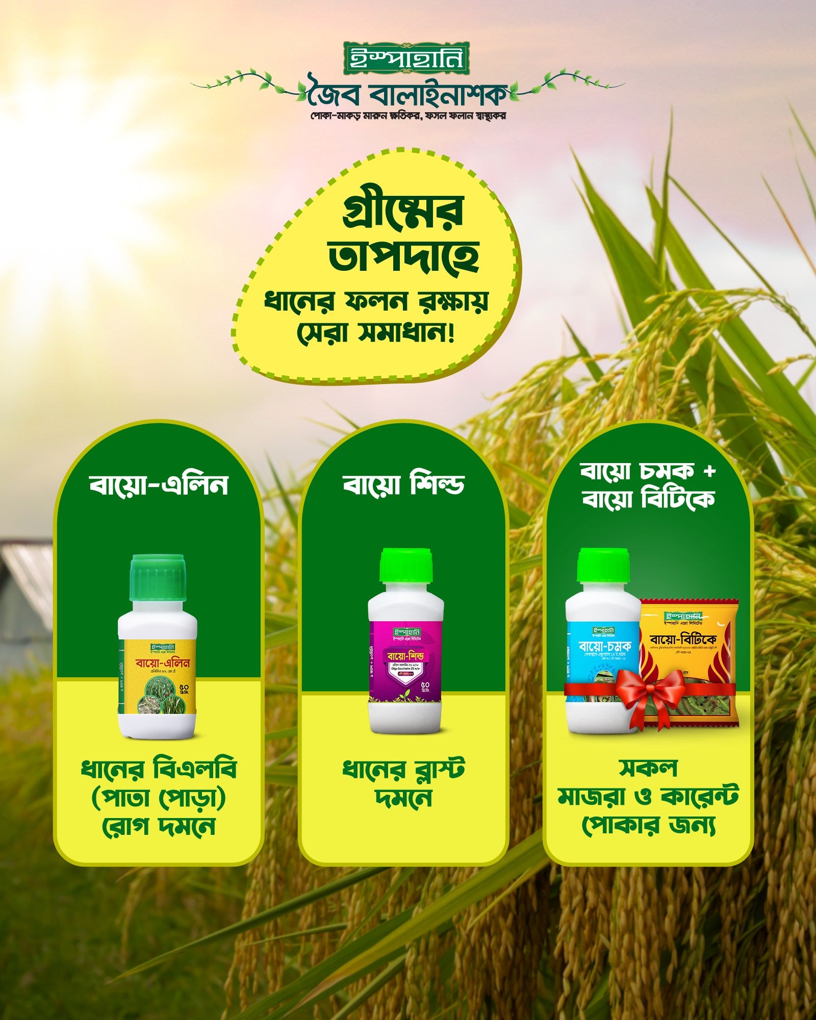 Halal Agro Farm - Ispahani Agro - rice care products