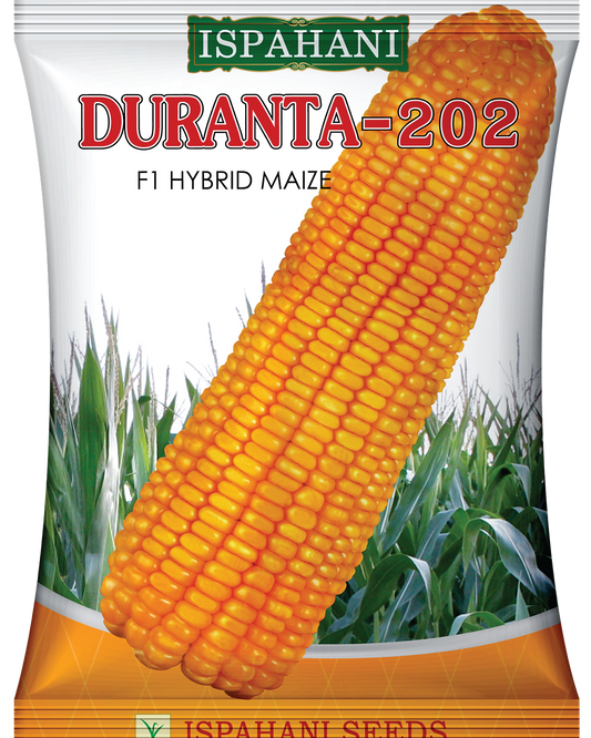 Halal Agro Tech - Ispahani Duranta-202 maize seed