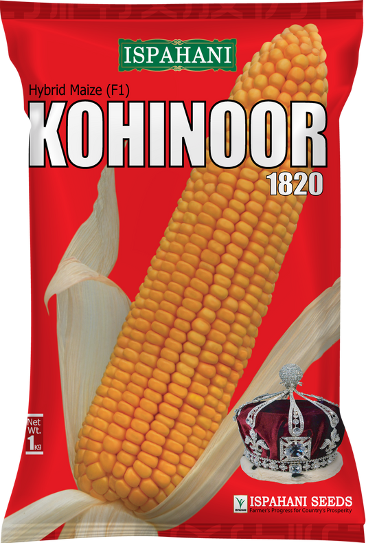 Halal Agro Tech -  Ispahani  Kohinoor-1820 maize seed
