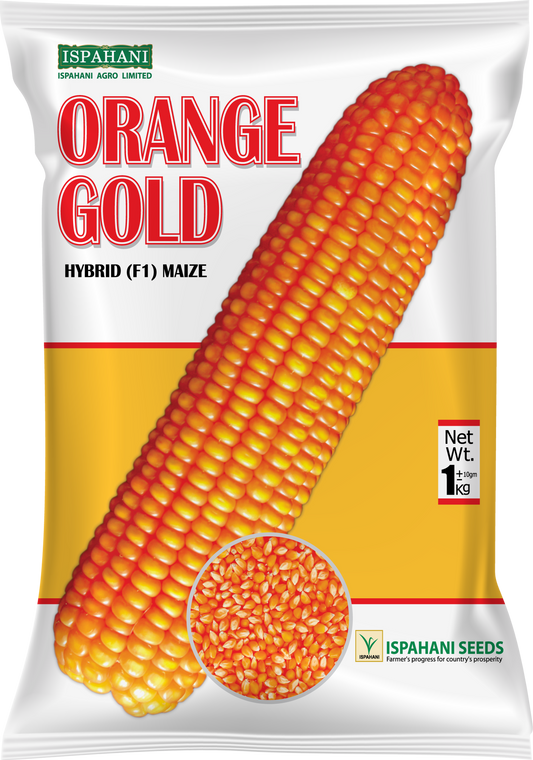 Halal Agro Tech -  Ispahani Orange Gold maize seed