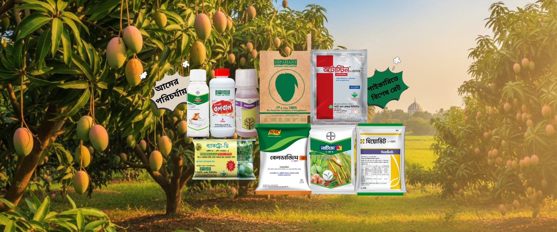 Halal Agro Tech Mango Promotional banner