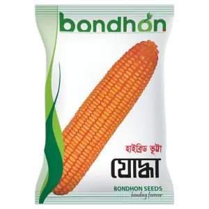হাইব্রিড ভূট্টা- যোদ্ধা - হালাল এগ্রো ফার্ম -Hybrid-maize-Joddha- Halal Agro Farm