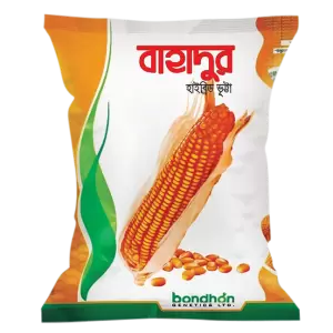 হাইব্রিড ভূট্টা- বাহাদুর - হালাল এগ্রো ফার্ম -hybrid-maize-bahadur- Halal Agro Farm