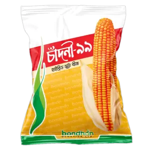 হাইব্রিড ভূট্টা- চাঁদনী-৯৯ - হালাল এগ্রো ফার্ম -hybrid-maize-chandni-99- Halal Agro Farm