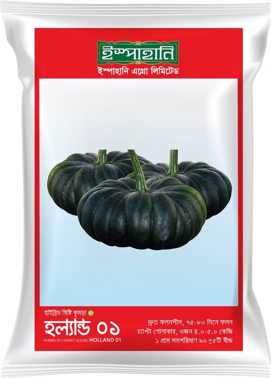 হাইব্রিড মিষ্টিকুমড়া হল্যান্ড-১