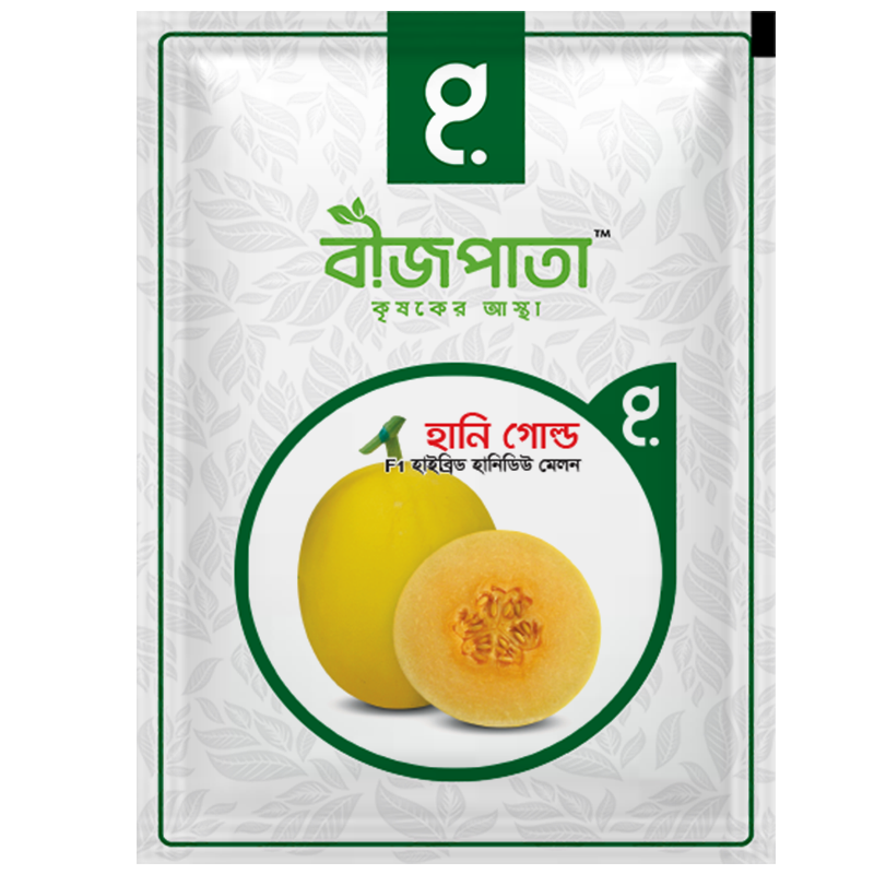 হানি গোল্ড এফ১(Honey Gold F1)-হাইব্রিড হানিডিউ মেলন বীজ|বীজপাতা