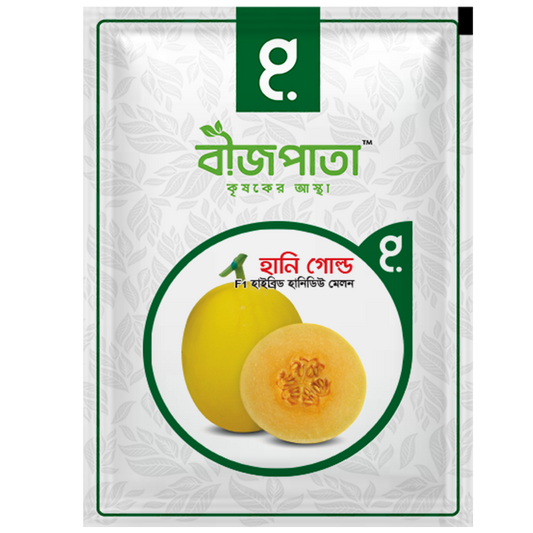 হানি গোল্ড এফ১(Honey Gold F1)-হাইব্রিড হানিডিউ মেলন বীজ|বীজপাতা