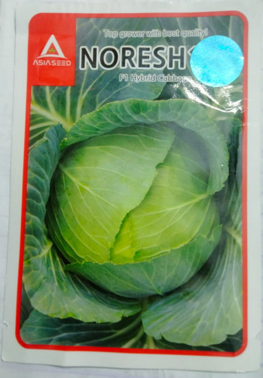 NORESH F1 হাইব্রিড বাঁধাকপি বীজ - ASIASEED