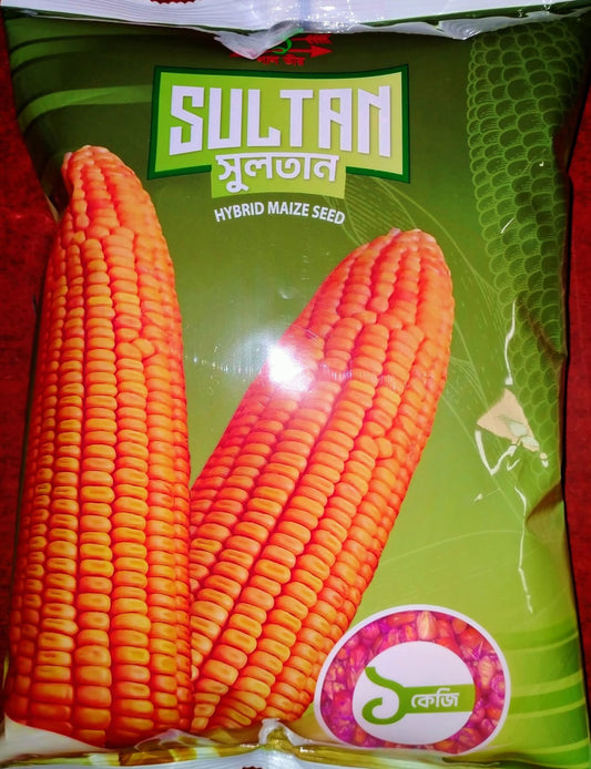 হাইব্রিড ভূট্টা -সুলতান। লাল তীর। Hybrid Maize-Sultan। Lat teer