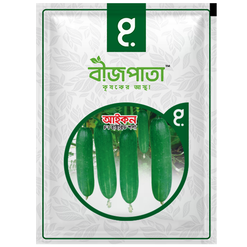 আইকন এফ১(Icon F1)-হাইব্রিড শসা বীজ|বীজপাতা