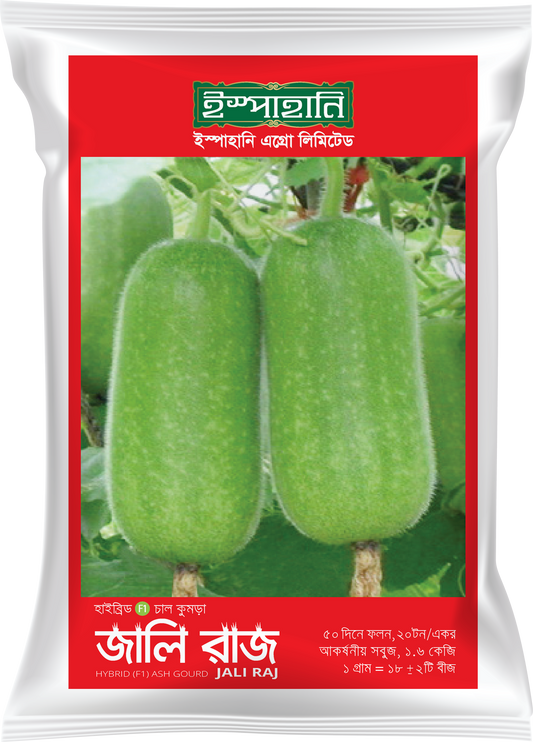 জালিরাজ-হাইব্রিড চালকুমড়া বীজ |ইস্পাহানি এগ্রো|Jali Raj-Hybrid Ash Groud Seed|Ispahani Agro
