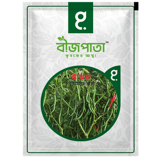 ঝাঁঝরা এফ১(Jhajhra)-হাইব্রিড মরিচ বীজ|বীজপাতা