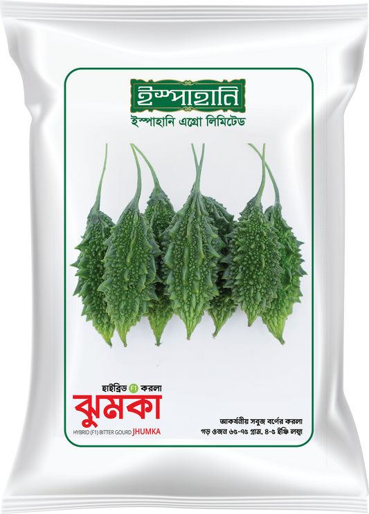 হাইব্রিড করলা ঝুমকা