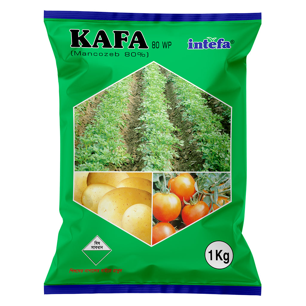 কাফা ৮০ ডব্লিউপি|মেনকোজেব ৮০%| ছত্রাকনাশক|ইনতেফা|Kafa 80 WP|Fungicide|Intefa