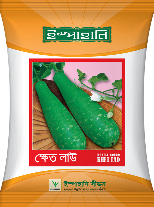 হাইব্রিড ক্ষেত লাউ