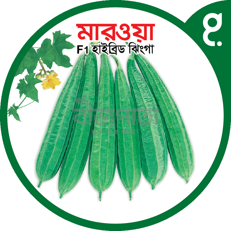 মারওয়া এফ১-হাইব্রিড ঝিঙা বীজ|বীজপাতা|Marwa F1-Hybrid Luffa Seed|Bizpata