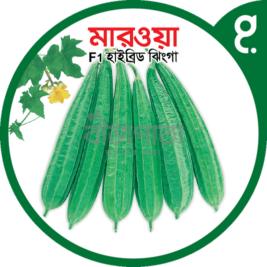 মারওয়া এফ১-হাইব্রিড ঝিঙা বীজ|বীজপাতা|Marwa F1-Hybrid Luffa Seed|Bizpata