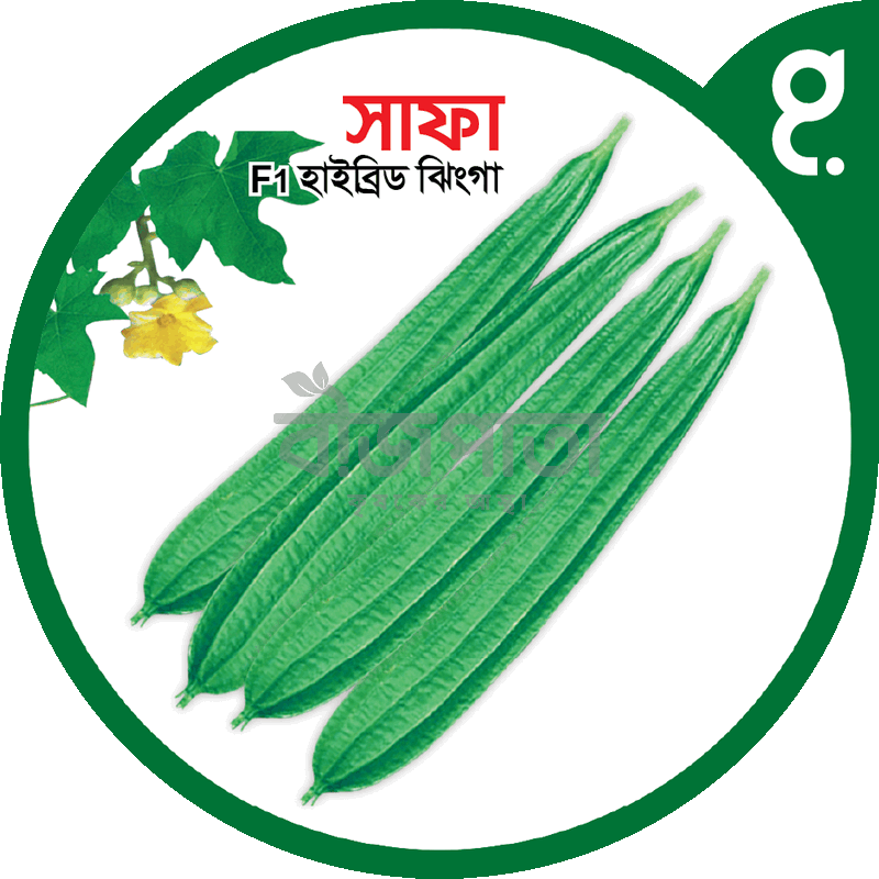 সাফা এফ১-হাইব্রিড ঝিঙা বীজ|বীজপাতা|Safa 1 F1-Hybrid Luffa Seed|Bizpata