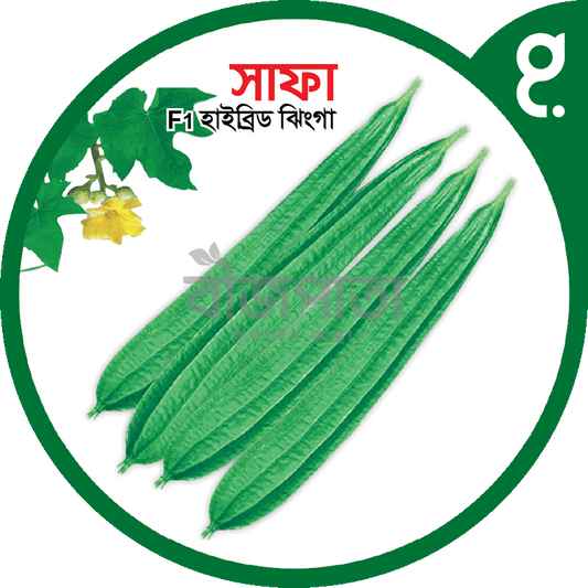 সাফা এফ১-হাইব্রিড ঝিঙা বীজ|বীজপাতা|Safa 1 F1-Hybrid Luffa Seed|Bizpata