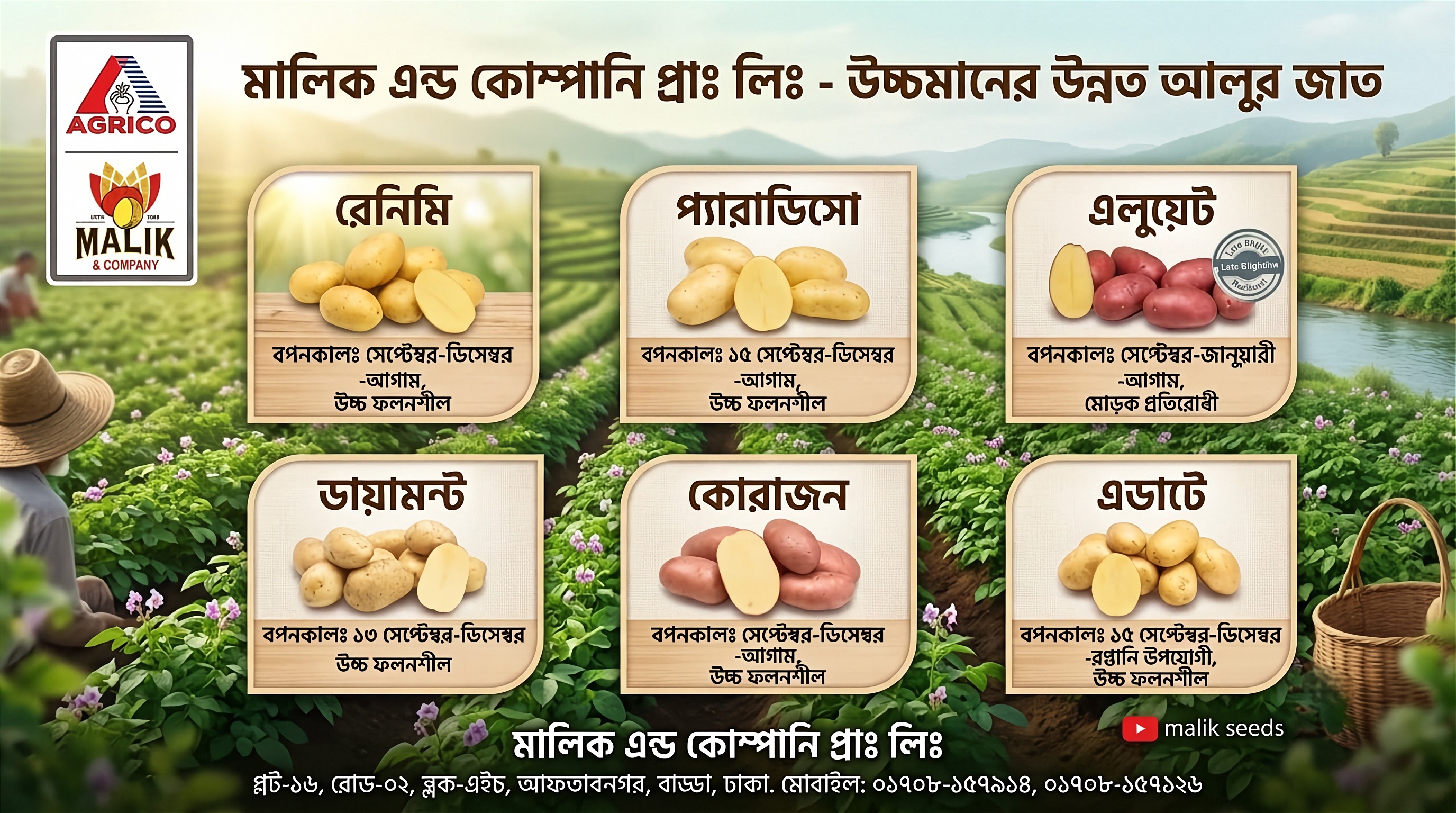 Malik Seed potato promotion banner on Halal Agro Tech