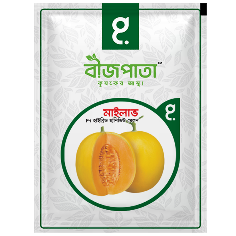 মাইলাভ এফ১(Mylove F1)-হাইব্রিড হানিডিউ মেলন বীজ|বীজপাতা
