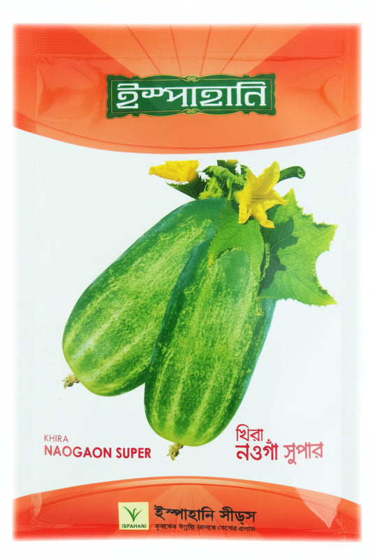 নওগাঁ সুপার খিরা বীজ |ইস্পাহানি এগ্রো|Nowga Super-khira|Ispahani Agro