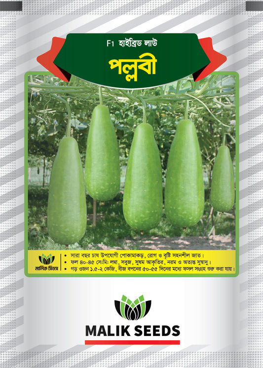হাইব্রিড লাউ-পল্লবী । এ আর মালিক সীডস ।Hybrid Bottle Gourd-Pallabi।AR Malik Seeds