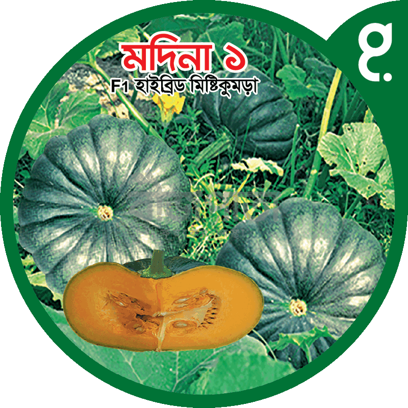 মদিনা ১-হাইব্রিড মিষ্টিকুমড়া বীজ|বীজপাতা|Madina 1-Pumpkin Seed|Bizpata