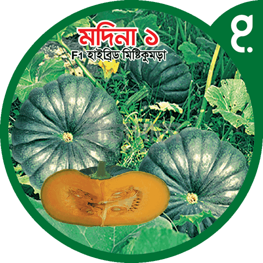 মদিনা ১-হাইব্রিড মিষ্টিকুমড়া বীজ|বীজপাতা|Madina 1-Pumpkin Seed|Bizpata